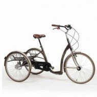 Tricycle Vintage assistance électrique, adulte
