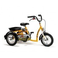 Tricycle Safari