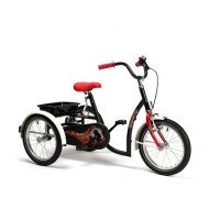 Tricycle Sporty